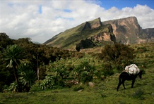 Simien National Park